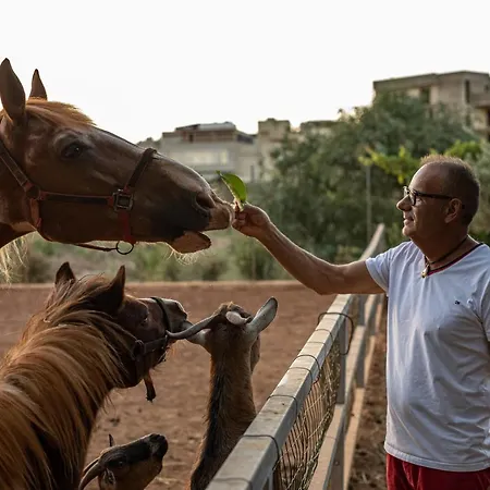 Dea Cerere Alloggio per agriturismo *